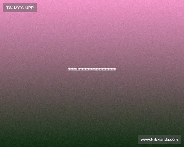 赛事申办报告,大型赛事申办报告书如何准备高质量申办文件全过程解析